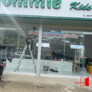 Mẫu cửa lùa 5